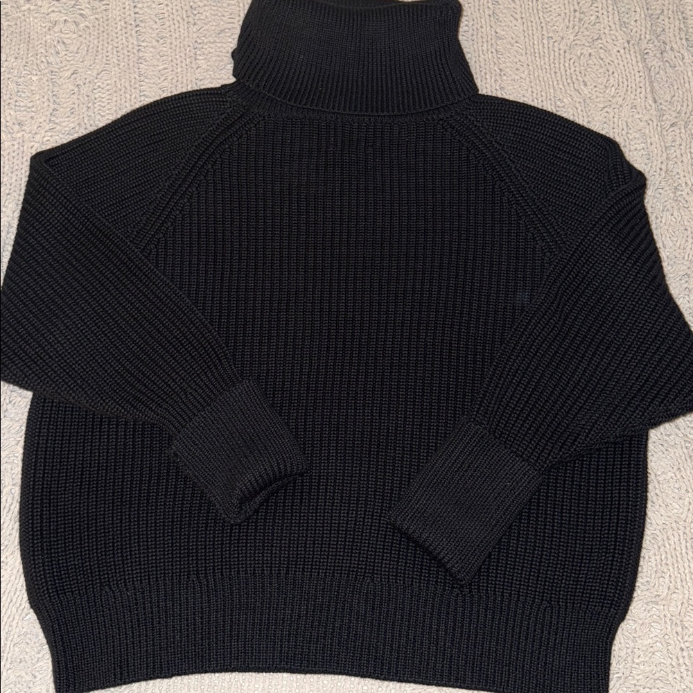 ANR+ by Alp n Rock Ribbed Turtleneck Sweater XS